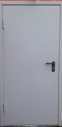 Стальная дверь в дом двупольная EIS30