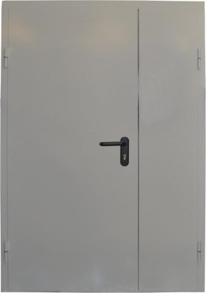 Входная металлическая дверь для частного дома двупольная EIS60